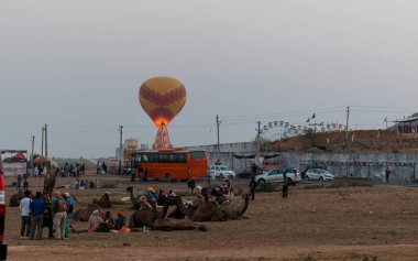 PUSHKAR, RAJASTHAN / INDIA - Kasım 2019: Pushkar fuarında tüccarlarıyla birlikte develer