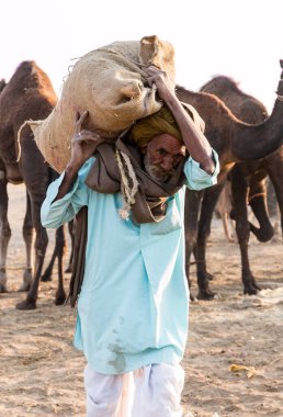PUSHKAR, RAJASTHAN / INDIA - Kasım 2019: Pushkar fuarında tüccarlarıyla birlikte develer