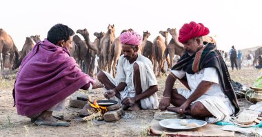 PUSHKAR, RAJASTHAN / INDIA - Kasım 2019: Pushkar fuarında tüccarlarıyla birlikte develer