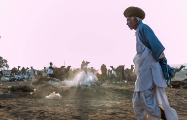 PUSHKAR, RAJASTHAN / INDIA - Kasım 2019: Pushkar fuarında tüccarlarıyla birlikte develer