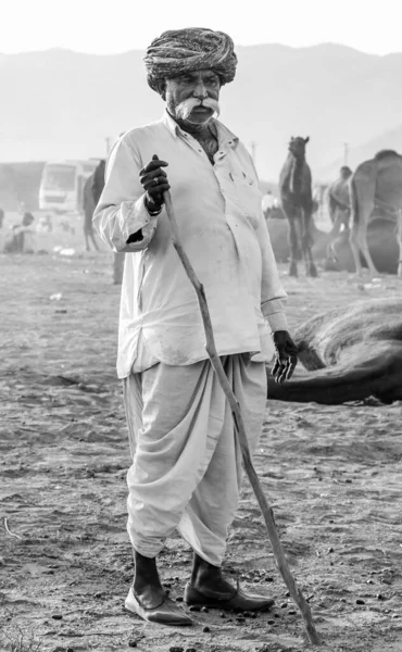 Pushkar Rajasthan Índia Novembro 2019 Camelos Feira Pushkar Com Seus — Fotografia de Stock