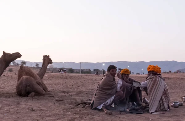 Pushkar Rajasthan India November 2019 Kamelen Pushkar Beurs Met Hun — Stockfoto