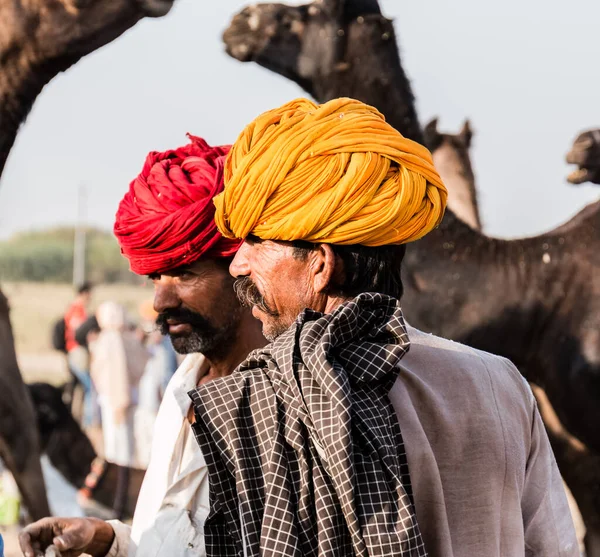 Pushkar Rajastán India Oct 2017 Gente Local Comerciantes Camellos Camellos — Foto de Stock