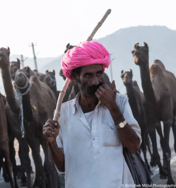 Pushkar Rajasthan Indien Okt 2017 Kamelhändler Die Ihre Kamele Auf — Stockfoto
