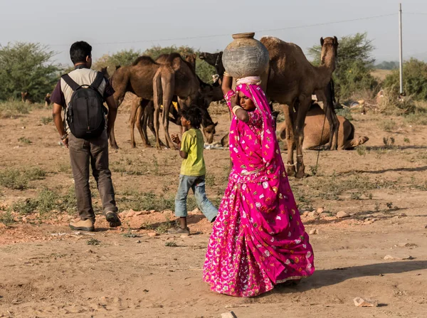 Pushkar Rajasthan India November 2019 Camels Pushkar Fair Traders Fair — Foto Stock