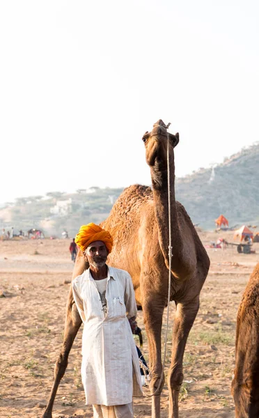 Пушкар Раджастан Индия Ноябрь 2019 Верблюды Пушкарской Ярмарке Своими Торговцами — стоковое фото