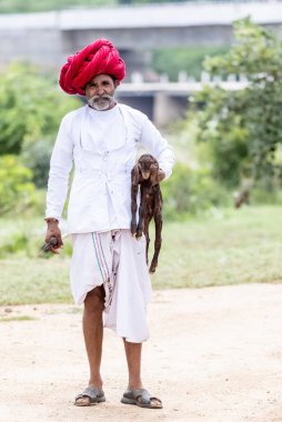 Jawai, Rajasthan, Hindistan - Eylül 2021: Jawai sahasında, ulusal başlık ve geleneksel beyaz elbise ve kırmızı sarıklı Rabari etnik grubunun yaşlı bir adamının portresi.