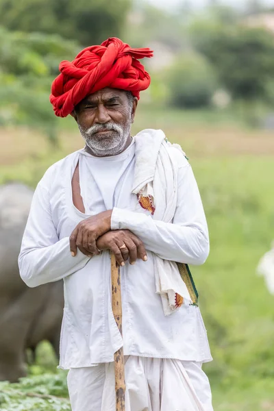 Jawai Rajasthan India September 2021 Portrait Elderly Man Rabari Ethnic — Fotografia de Stock