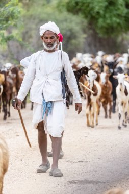 Jawai, Rajasthan, Hindistan - Eylül 2021: Jawai sahasında Rabari etnik grubuna mensup bir erkek çobanın portresi.