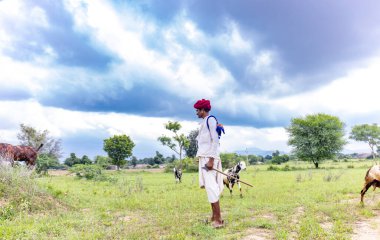 Jawai, Rajasthan, Hindistan - Eylül 2021: Jawai sahasında Rabari etnik grubuna mensup bir erkek çobanın portresi.