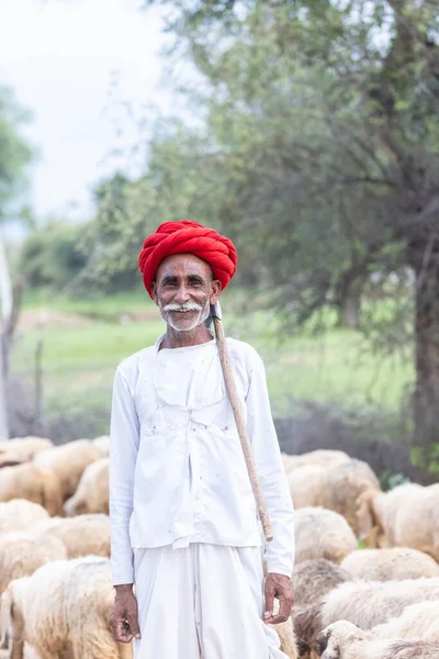 Jawai Rajastán India Septiembre 2021 Retrato Pastor Masculino Etnia Rabari —  Fotos de Stock