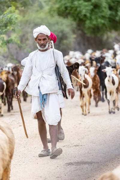 Jawai Rajasthan India September 2021 Portrait Male Shepherd Rabari Ethnic — Stock Photo, Image