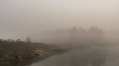 Kasım 'da göldeki sisin içindeki ağaçlar. Monino mu? Moskova oblast.