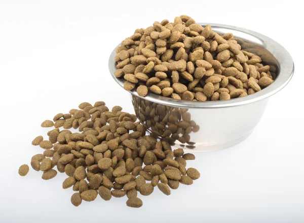 bir kase içinde kedi maması