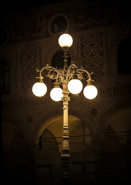 Sivrisinek ile eski sokak lambası Stok Resim