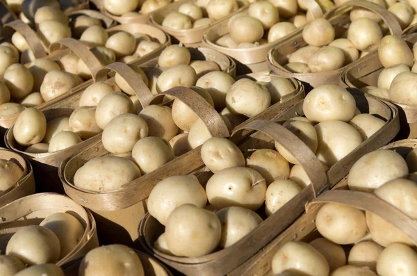 patates arka plan