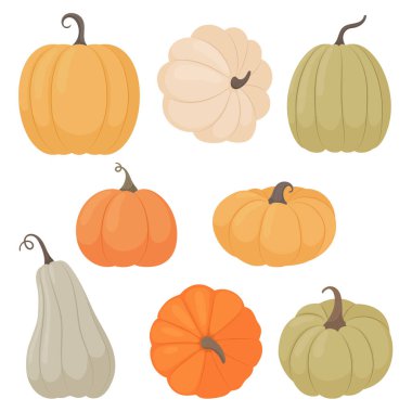 Pumpkins set. A variety of pumpkins in a flat style on a white background. Vector illustration
