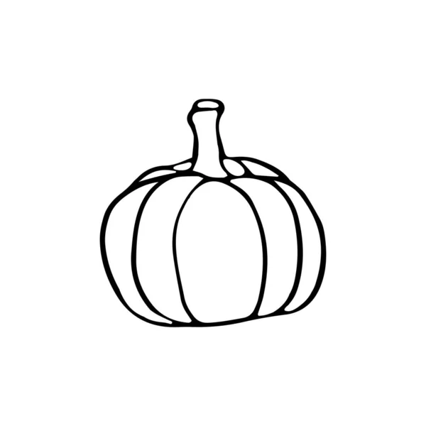 Sketch Pumpkin Vector Element Halloween Design — Stock Vector