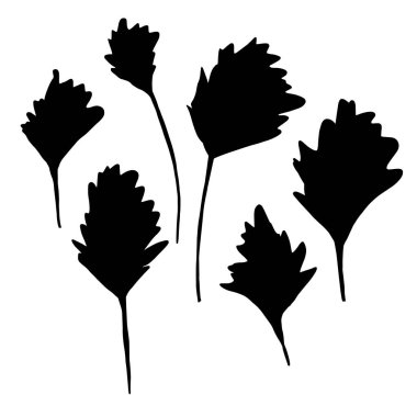 El yapımı yapraklar. Karalama çizimi. Vektör.