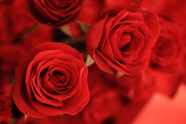 Sevgililer Günü hediyesi olarak çiçek buketindeki güzel kırmızı gülü kapat..