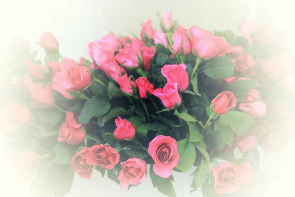 Rosa Rosas Flores Buquê Com Círculo Branco Borrado Redor — Fotografia de Stock