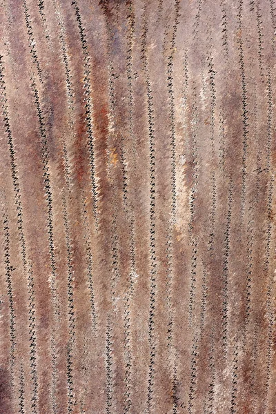 Natuurlijke Houten Achtergrond Textuur — Stockfoto