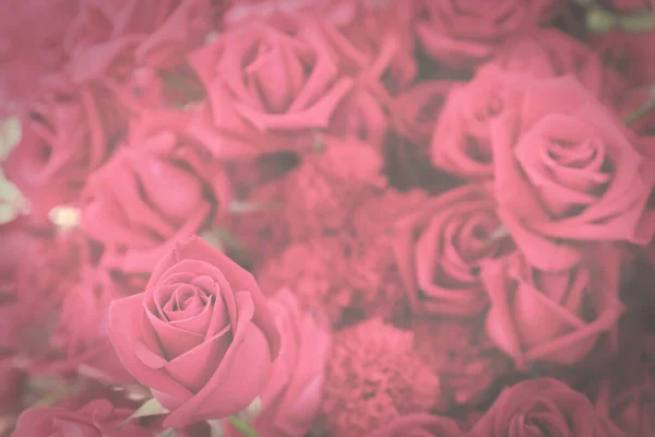 Dunkle Getönte Vintage Blumen Hintergrund Von Rosa Rose — Stockfoto