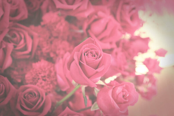Dark toned vintage flowers background of pink rose.