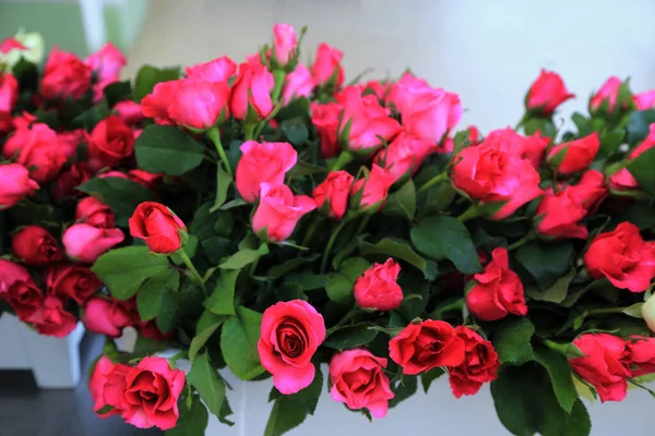Różowe Róże Bukiet Kwiatów — Zdjęcie stockowe