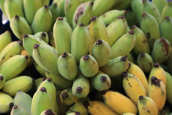 Close Cultivated Bananas Thai Bananas Bunch — Stock Photo, Image