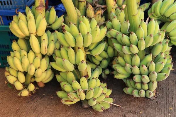 Bunch Van Gekweekte Bananen Thaise Bananen Vloer — Stockfoto