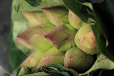 Nilüfer çiçekli taze pembe nilüfer çiçeği buketi bırak, Budizm sunar..