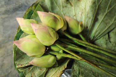 Nilüfer çiçekli taze pembe nilüfer çiçeği buketi bırak, Budizm sunar..