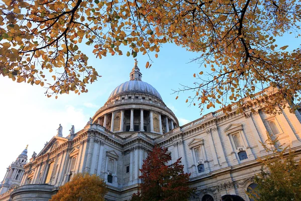 Katedrála Pavla Jedna Nejznámějších Nejznámějších Památek Anglie Podzimním Stromem Londýn — Stock fotografie