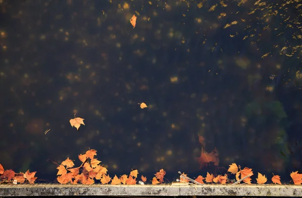 Абстрактный Фон Водной Поверхности Легкой Волной Золотисто Коричневыми Осенними Листьями — стоковое фото