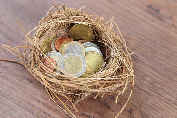 Pile of Euro coins in bird net, treasure or investment concept.