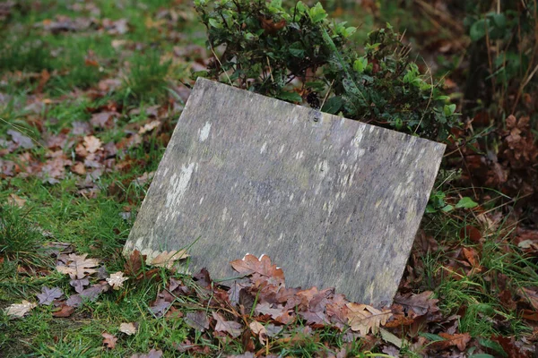 Grunziges Und Nasses Holzbrett Lag Garten Auf Dem Boden — Stockfoto