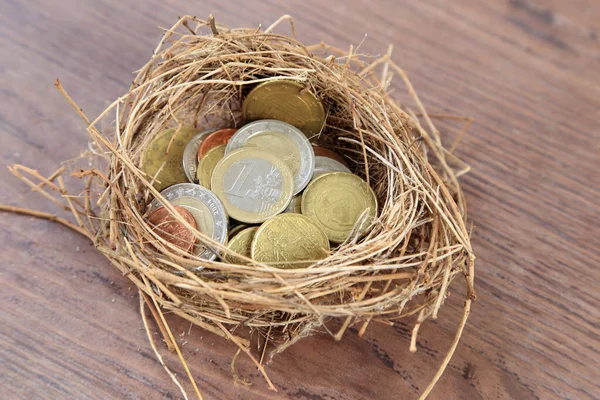 Pile of Euro coins in bird net, treasure or investment concept.