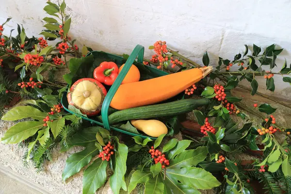 Warzywa Koszyku Jesienne Dekoracje Żniw — Zdjęcie stockowe
