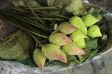 Nilüfer yaprağında iki renkli nilüfer çiçeği. Budizm sunar.