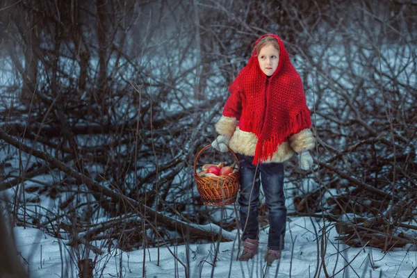 在冬天的森林里 一个穿着红色毛皮外套的可爱小女孩的画像 她手里拿着一篮馅饼和苹果 — 图库照片