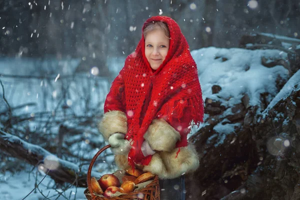 Portret Dziewczynki Zimowym Lesie Rękach Kosz Jabłek Ciast Zdjęcia Stockowe bez tantiem