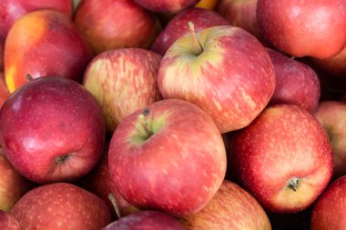 Elma meyvesi yığını