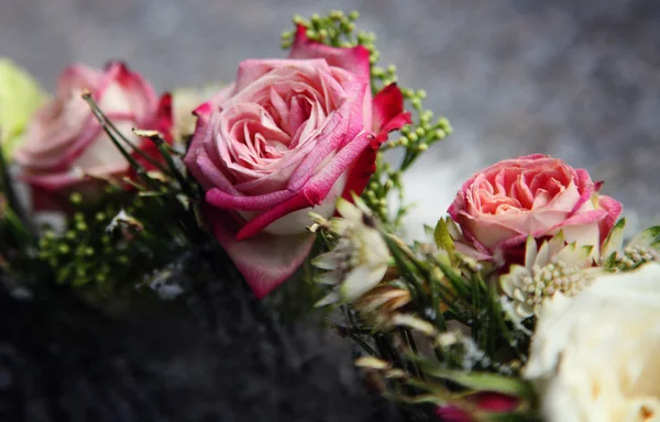 Línea de flores —  Fotos de Stock