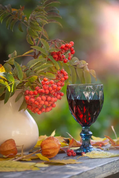 Sonbahar Bir Bardak Kırmızı Şarapla Sakin Bir Hayattır — Stok fotoğraf