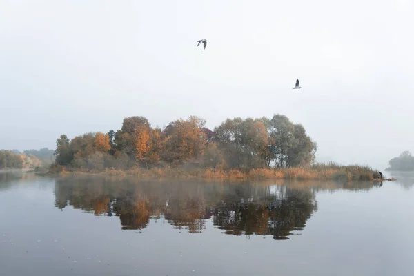 Tôt Matin Brumeux Sur Rivière Automne — Photo