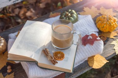 Güneşli bir sonbahar gününün arka planında bir fincan sıcak kahve. Düşen yapraklar, dürtük, kitap.