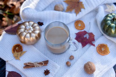 Güneşli bir sonbahar gününün arka planında bir fincan sıcak kahve. Düşen yapraklar, dürtük, kitap.