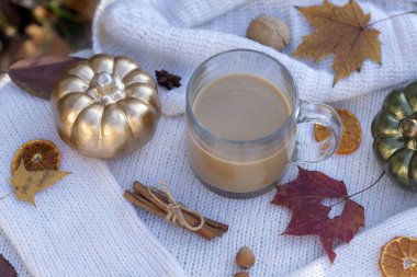 Güneşli bir sonbahar gününün arka planında bir fincan sıcak kahve. Düşen yapraklar, dürtük, kitap.