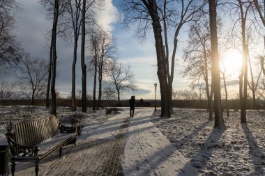 Rumyantsevler ve Paskevich 'lerin sarayı. Kışın Gomel Sarayı ve Park topluluğu adını Lunacharsky 'den almıştır. Gomel. Beyaz Rusya. Gomel Parkı 'nda kış. Müze. Gome 'un manzarası